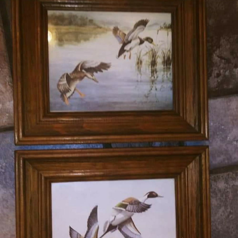 Vintage Framed Duck Prints